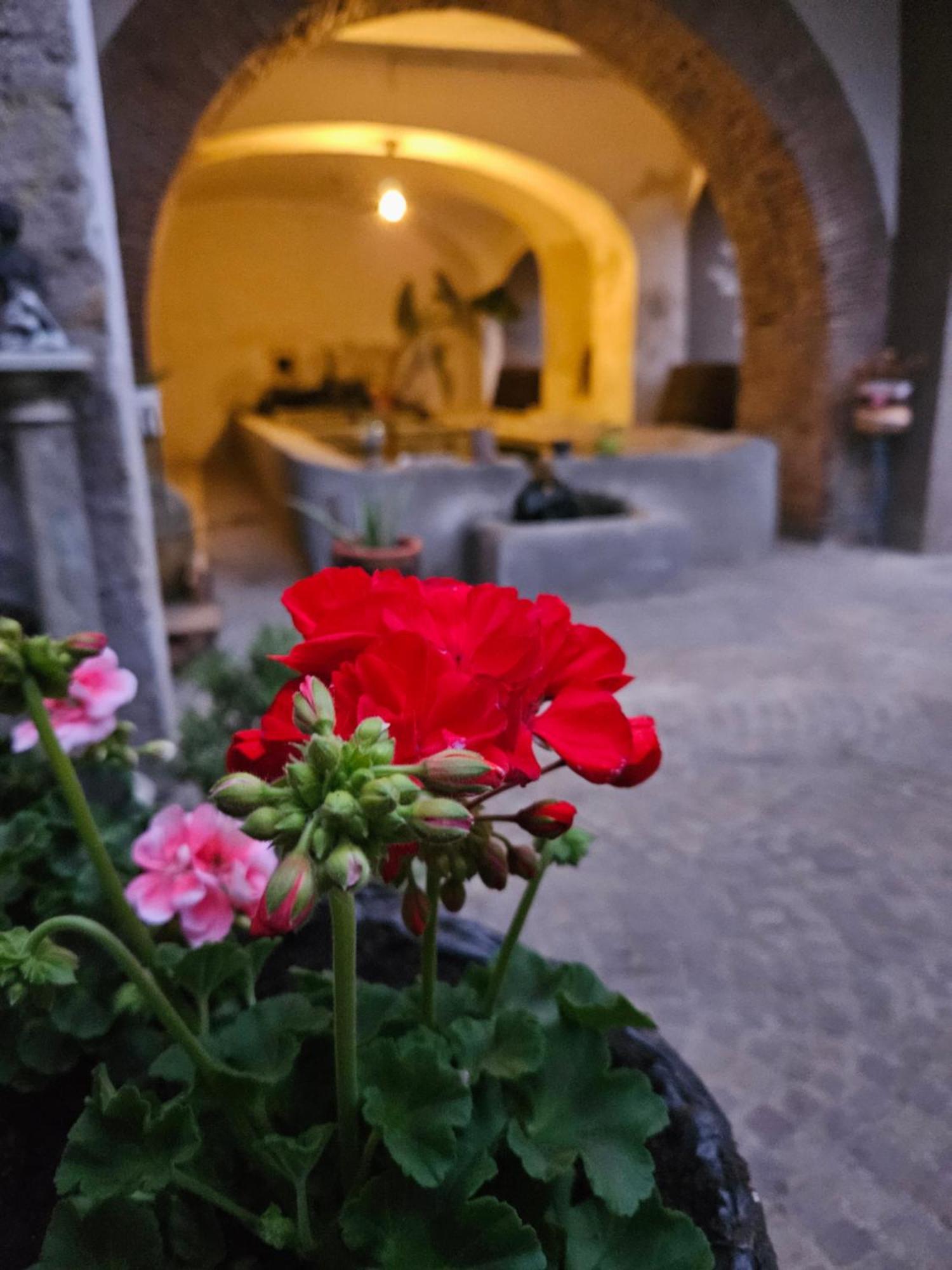 Bed and Breakfast L' Antico Lavatoio Rignano Flaminio Esterno foto