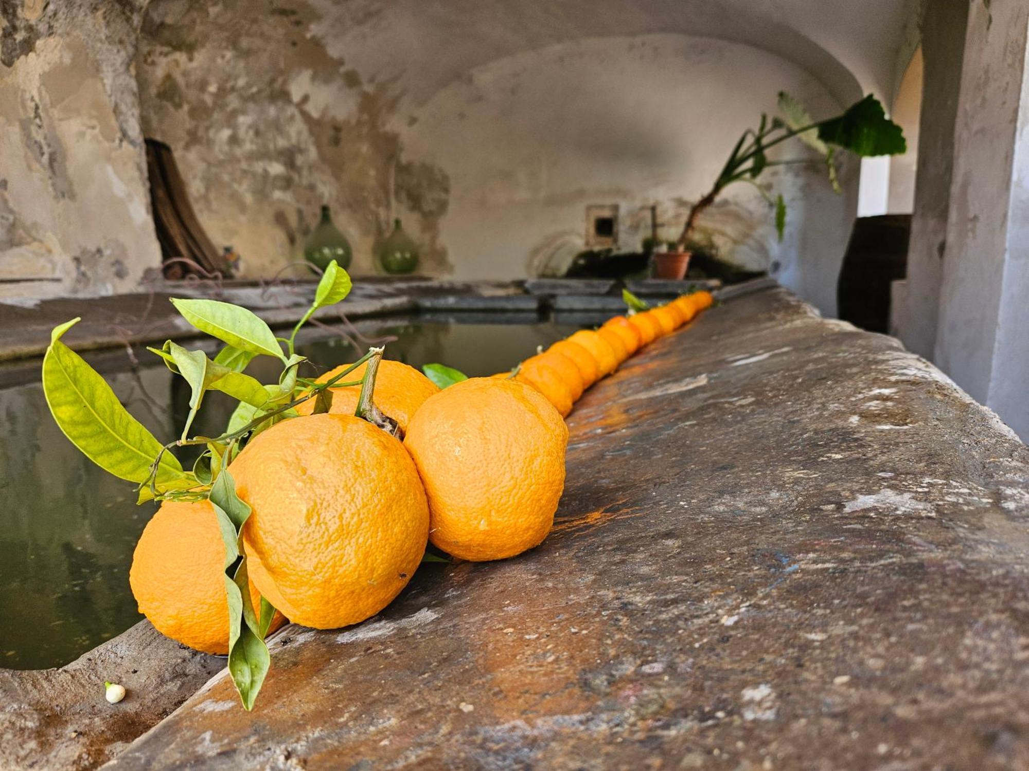 Bed and Breakfast L' Antico Lavatoio Rignano Flaminio Esterno foto